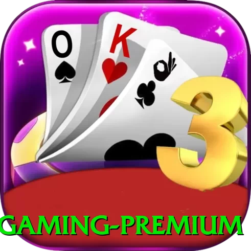 58ee Gaming Premium - go