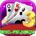 58ee Gaming Premium