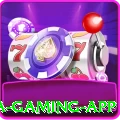 5ppg Mega Gaming App